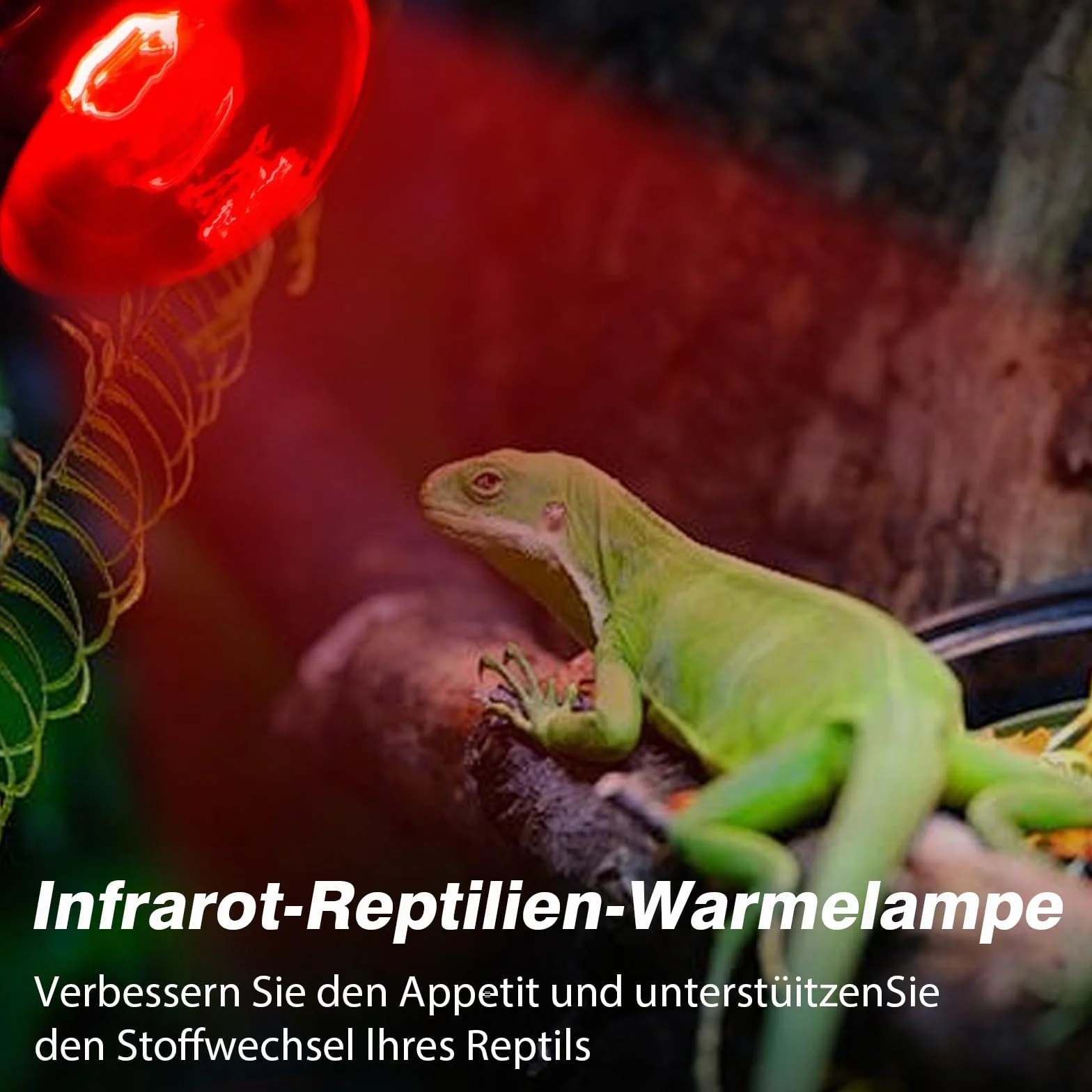 Lampe Chauffante Infrarouge Reptile 100W E27 Rouge Dimmable 2 Pièces