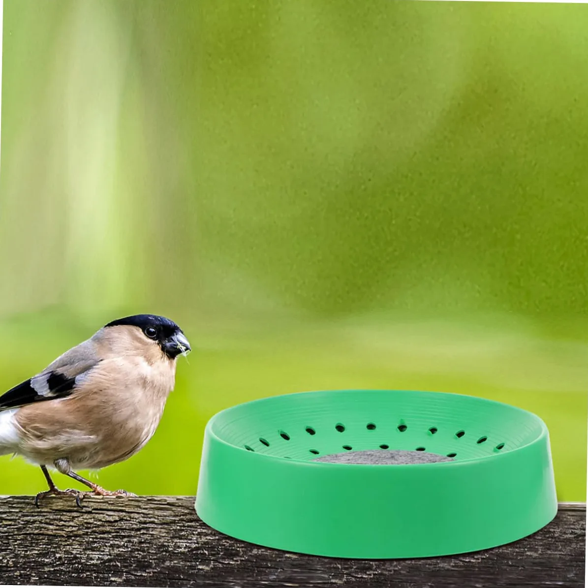 WOONEKY Lot de 10 Nids de Pigeons en Plastique Solide Nids D'œufs pour Reproduction Taille Adaptée Confortable pour Élevage Domestique et Animalerie