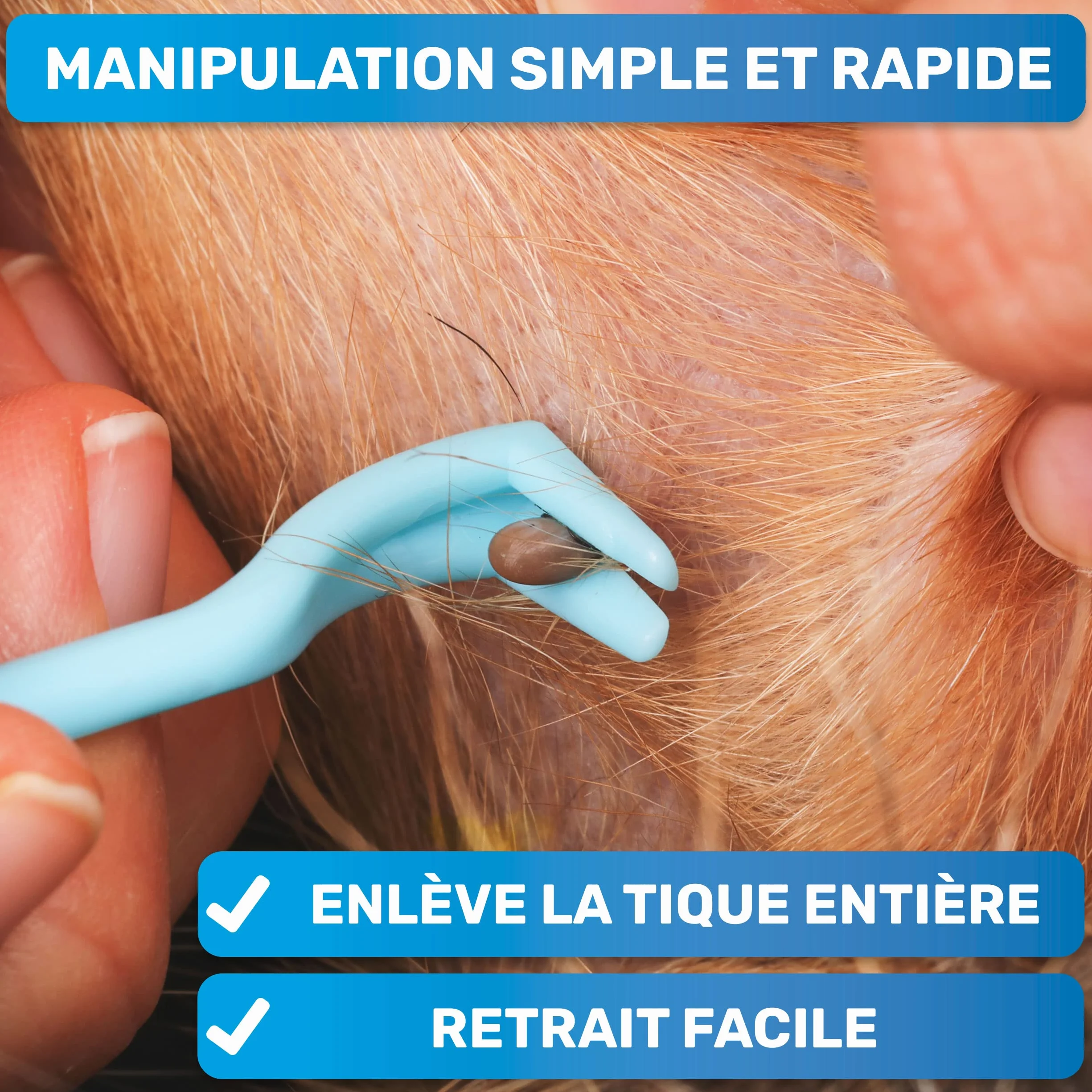 BluePet Tire Tique pour Chiens Chats Humains Crochet à Tiques Retireur Pince