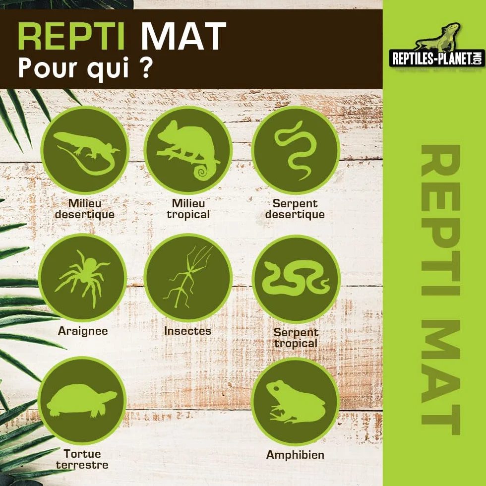 Reptiles Planet Repti Mat Tapis Chauffant pour Terrarium 5 W 14 x 15 cm
