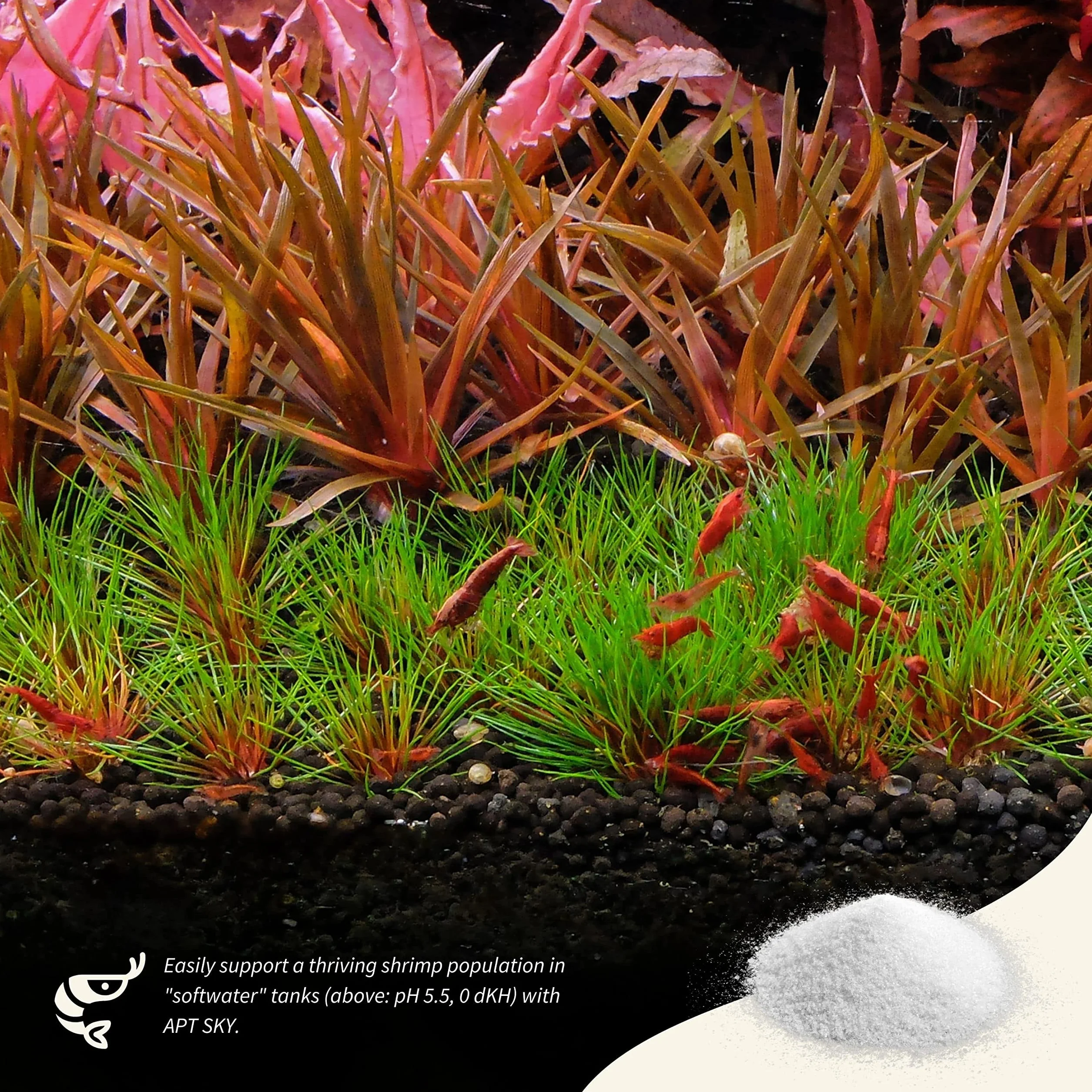 2HR Aquarist APT S/Sky GH + Crevette minérale 150g Akwarystyka
