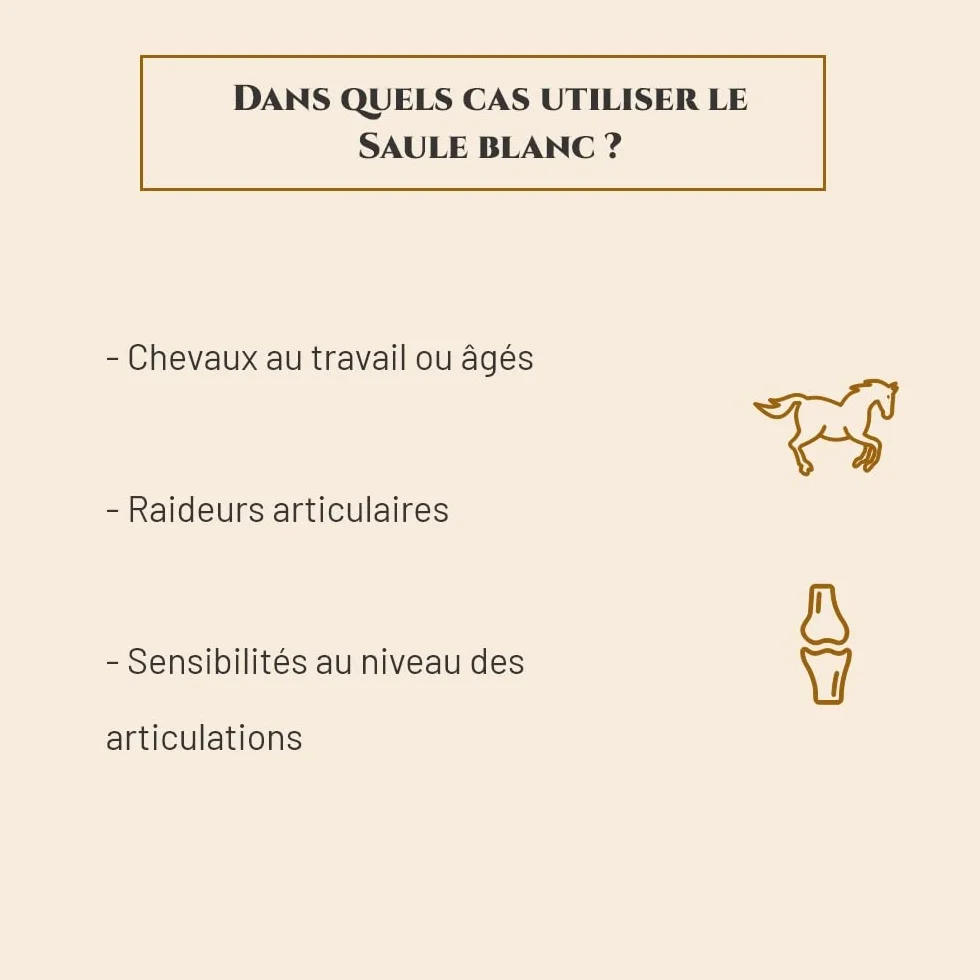 SAULE BLANC Complément nutritionnel Cheval Seau 1 kg Confort articulaire