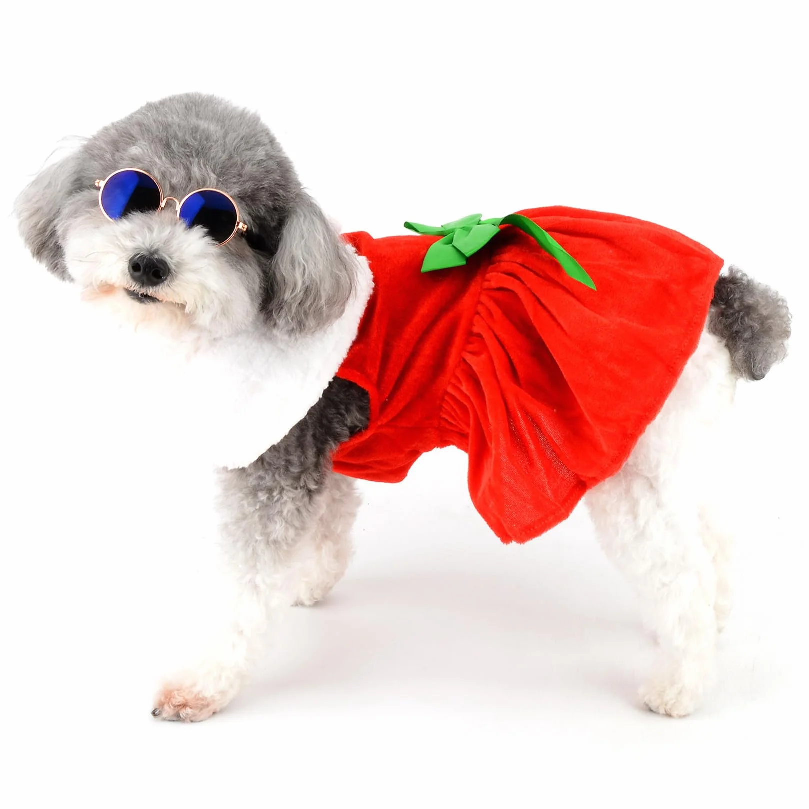 Robe de Noël en Velours pour Petit Chien avec Nœud Papillon Jupe Chiot Tenue d'Hiver Costume Chihuahua Yorkshire