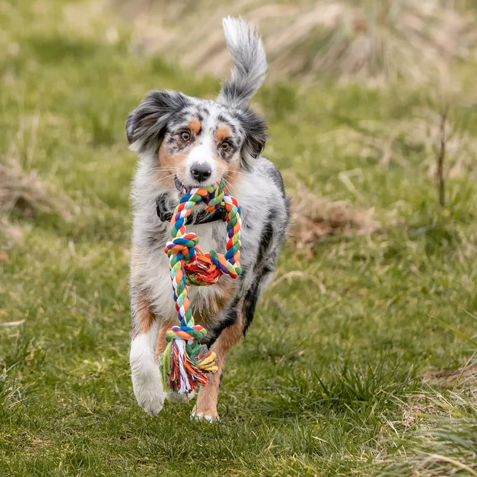 Nobby Os en Cotton pour Chien Multicolore 260 g