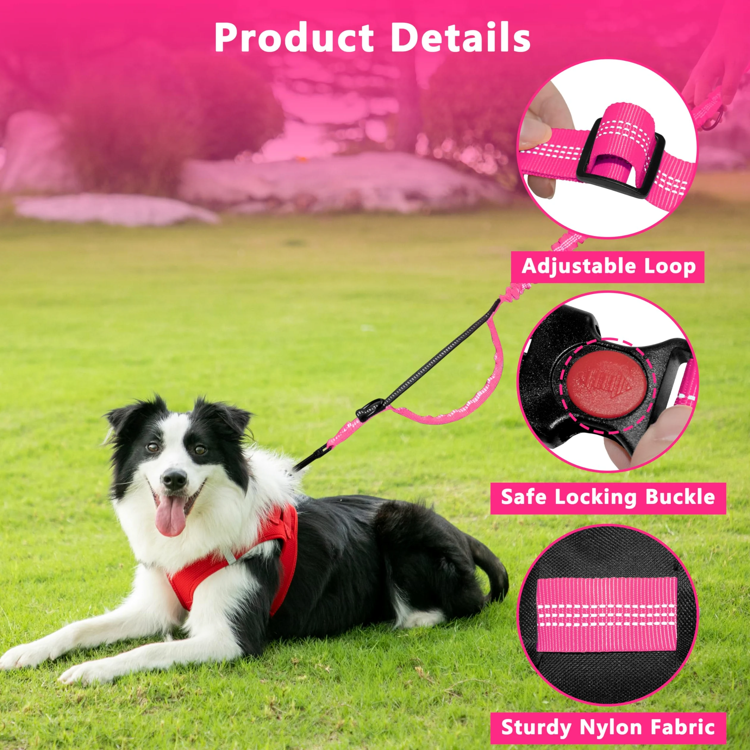Laisse mains libres pour chien avec pochette à fermeture éclair, laisse de course pour promenade du chien, ceinture réglable pour grands chiens, design élastique réfléchissant avec deux