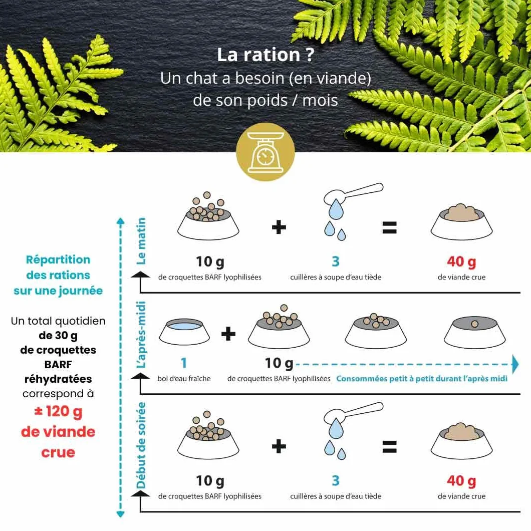 Croquette Barf Poussin lyophilisé pour Chat