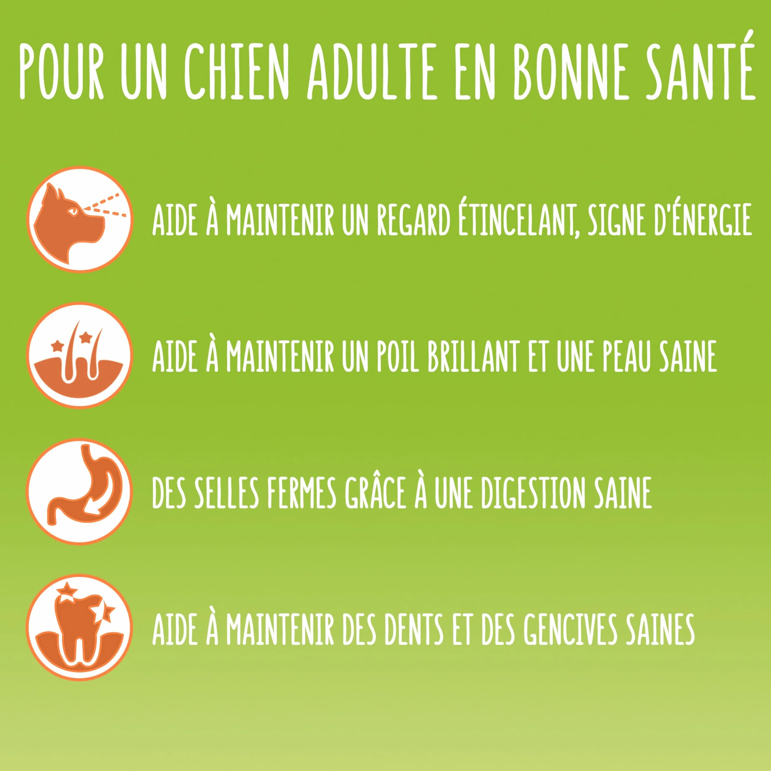FRISKIES Balance Croquettes pour Chiens Adultes au Poulet, Boeuf et Légumes 12 kg