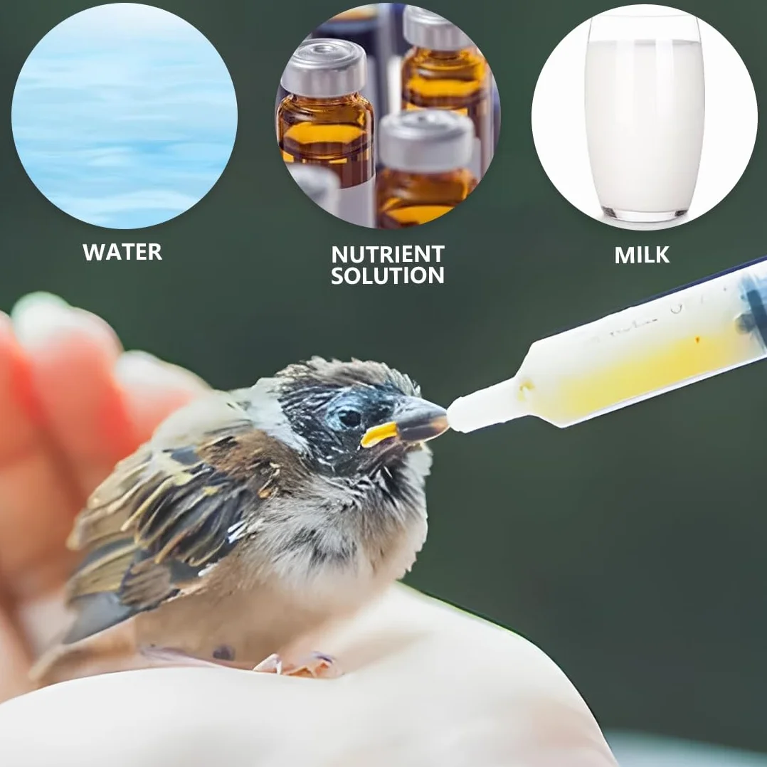 Seringue 10ml pour Nourrissage Bébé Oiseaux Perroquets, Tubes Souples Alimentation avec 10 Cathéters