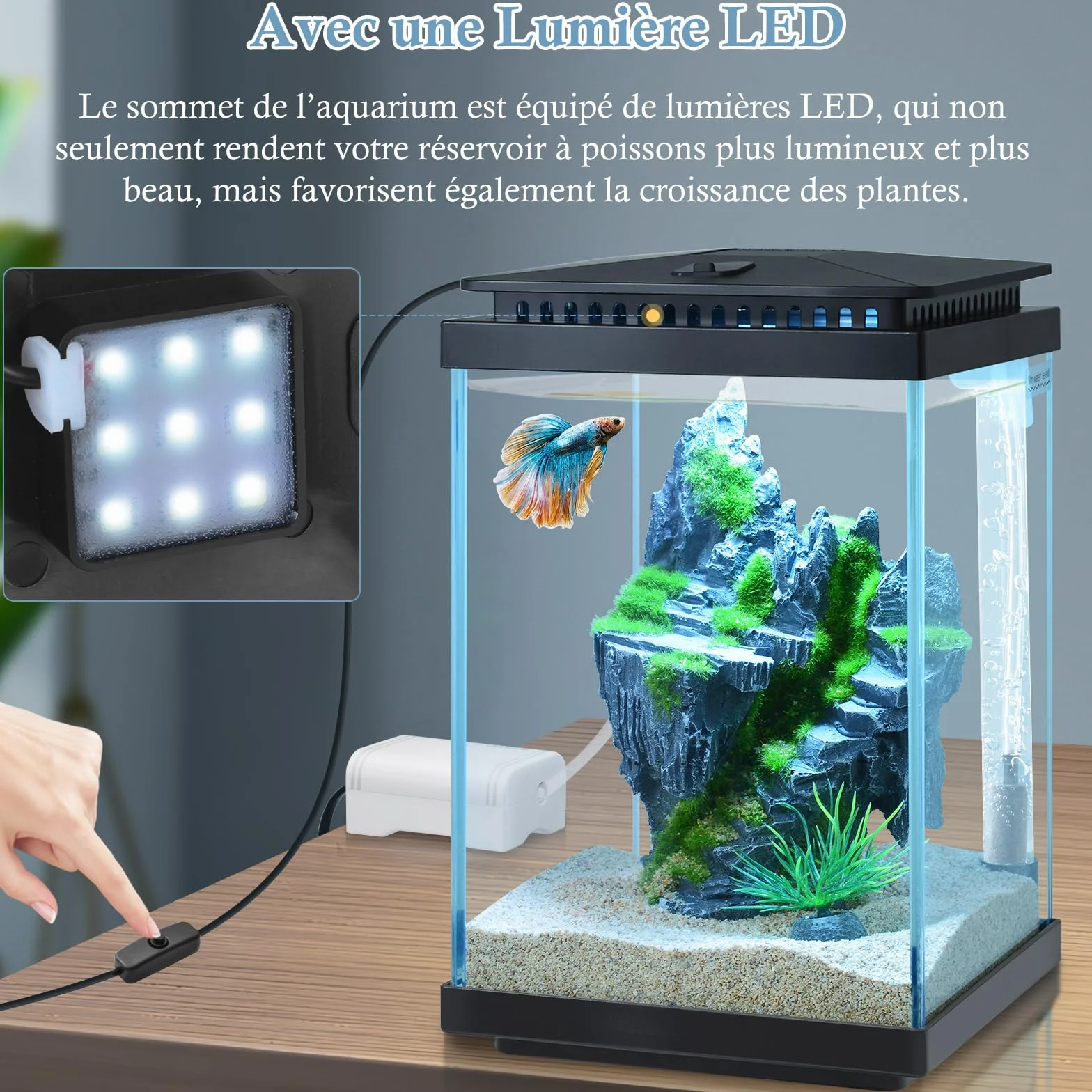 Kit Aquarium en Verre 4L, Réservoir Betta avec Pompe à Air et LumièRe LED