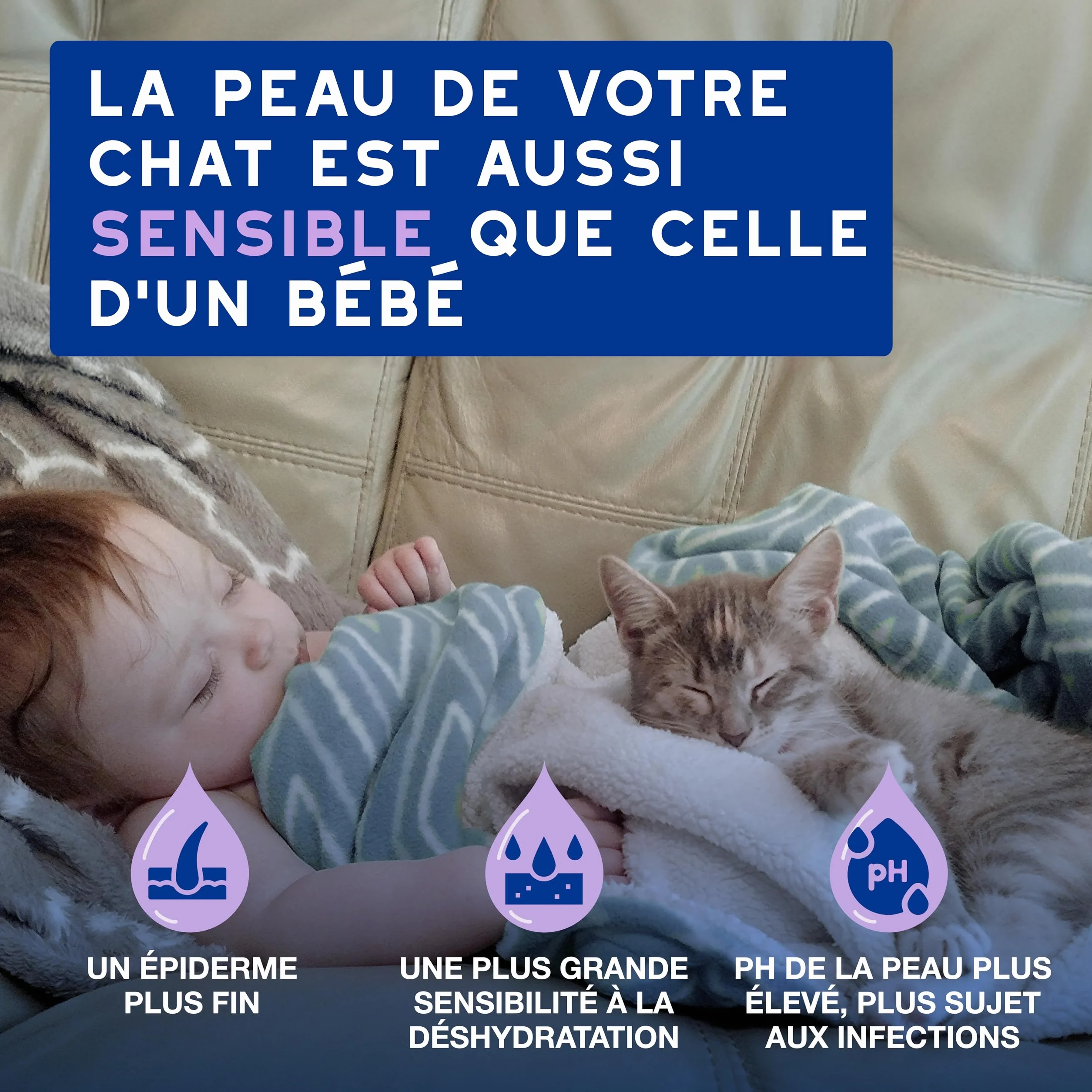 DOUXO Skin & Coat Spa Mousse sans rinçage pour Chat 150 ML nettoie rafraîchit Poil Doux Brillant