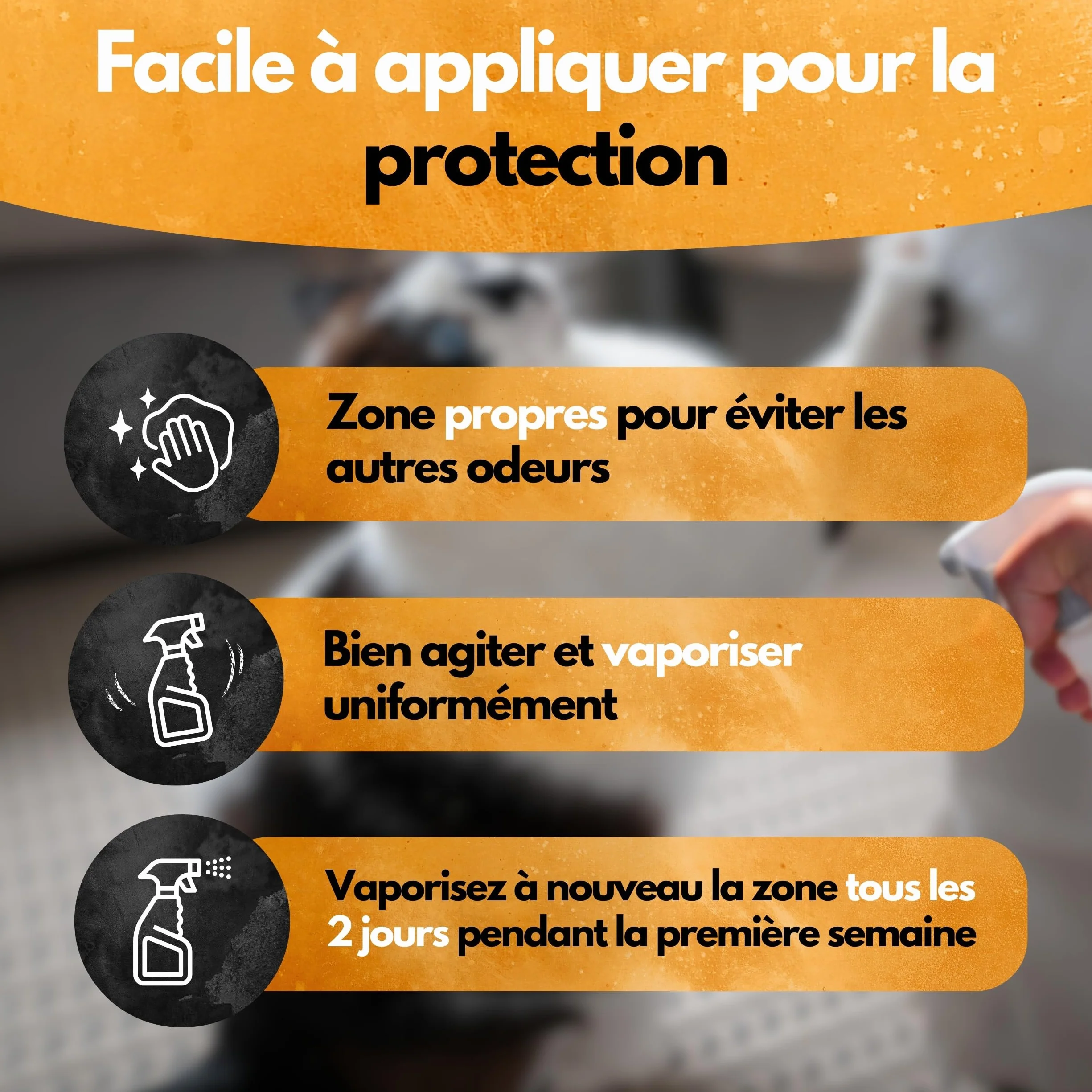 Panteer Spray répulsif pour chats 500ml - Protection longue durée contre urine - Eucalyptus