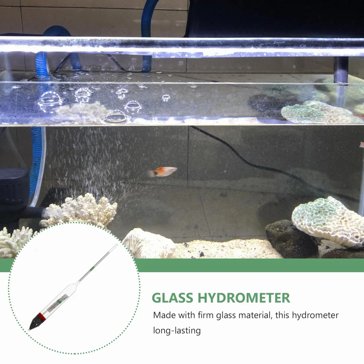 Cabilock Hydromètre de salinité pour aquarium d'eau de mer, densitomètre précis salinomètre durable