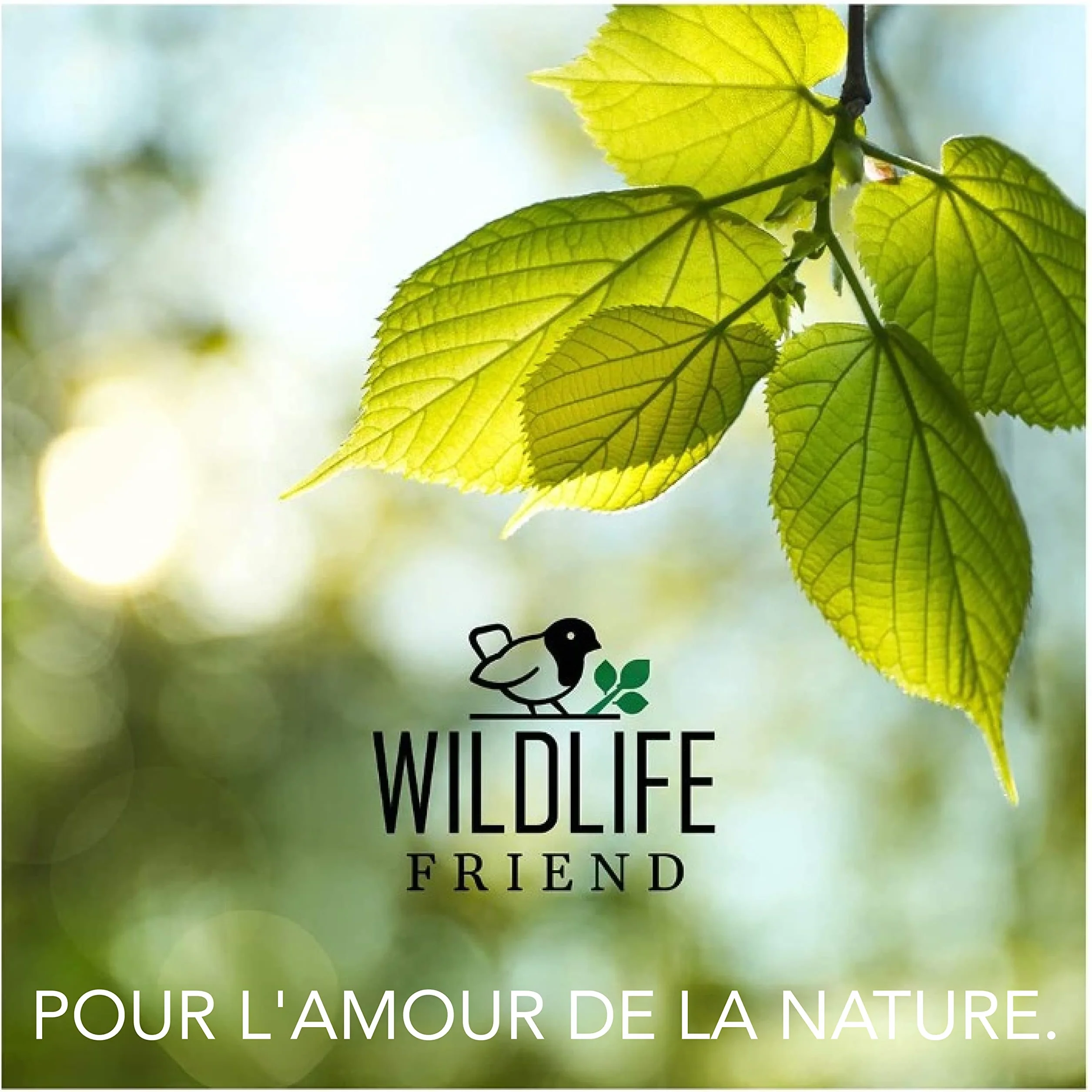 Bain d'oiseaux sur Pied Résistant aux Intempéries Mangeoire Bassin Oiseaux Jaune doré