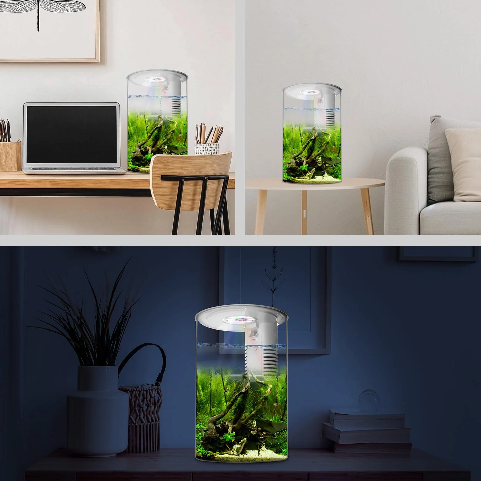 Veilleuse Zingbabu pour aquarium, lumière à spectre complet, filtre, blanc