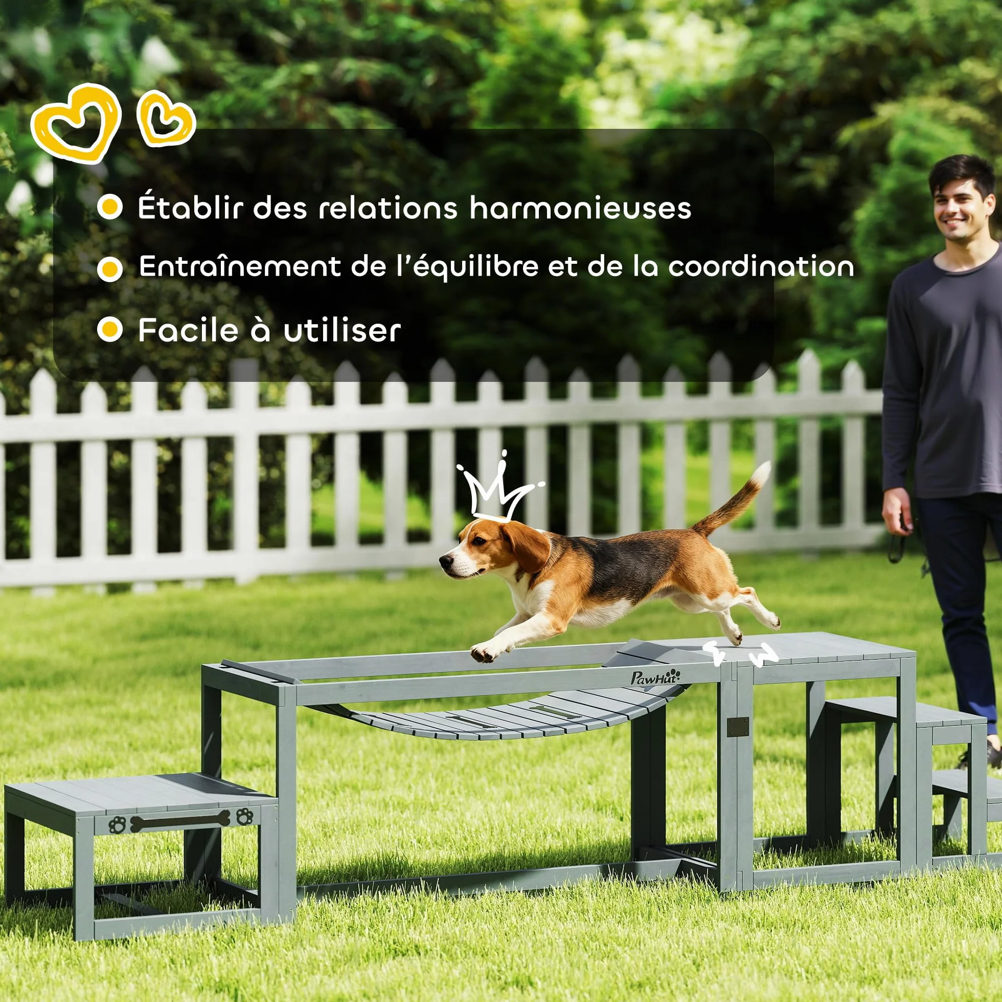 PawHut Kit d'agilité pour Chien 3 Pièces Pont Souple Plateforme de Pause Escalier Bois Massif Gris