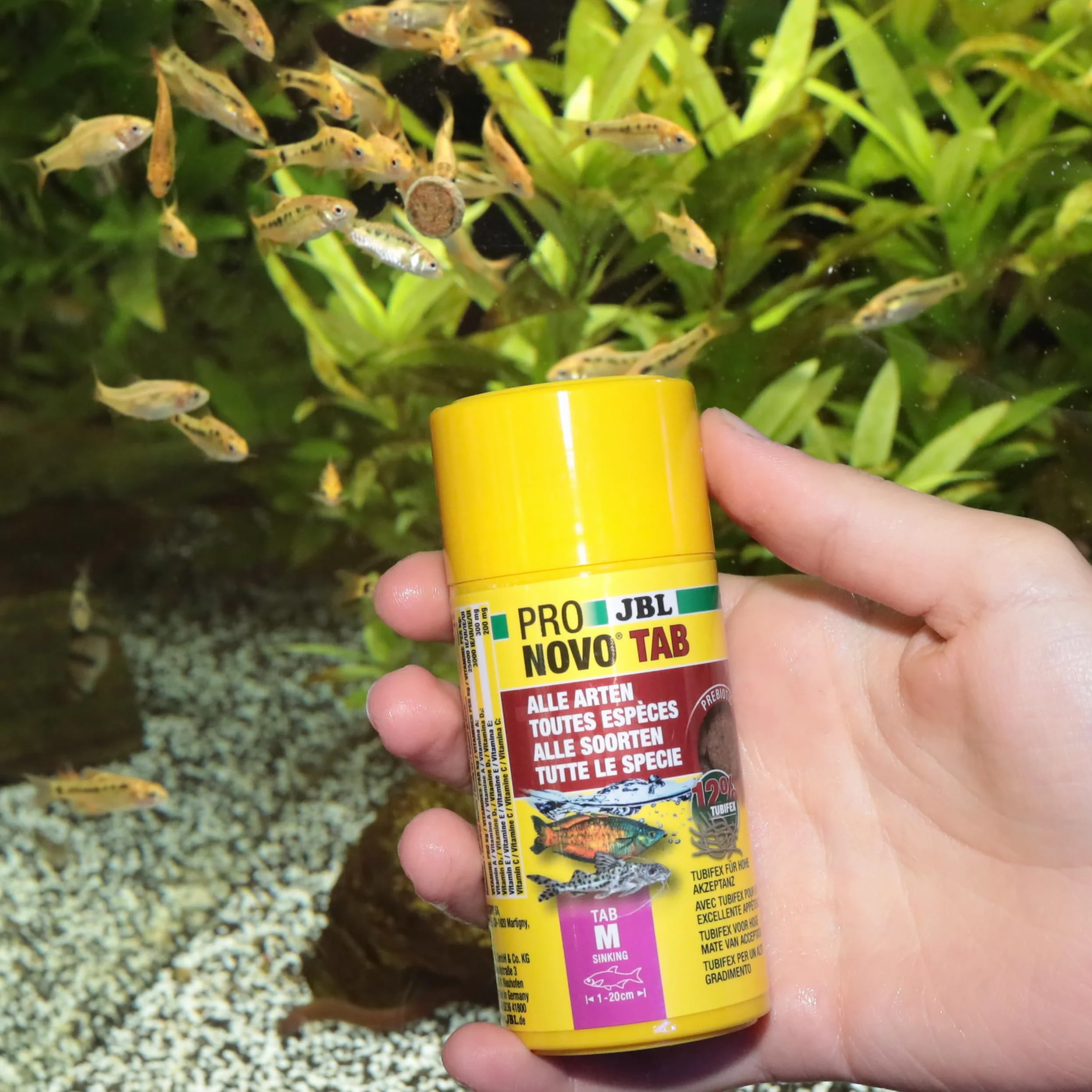 JBL PRONOVO TAB Aliment Poissons Aquarium Comprimés 100 ml