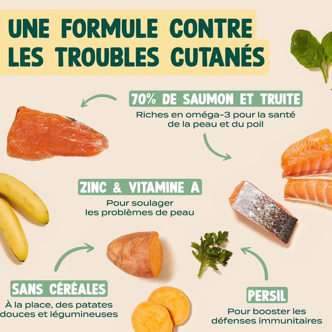 Franklin Croquettes pour Chien 70% Saumon Mono-protéine sans Céréales Peau et Pelage 2,5 kg