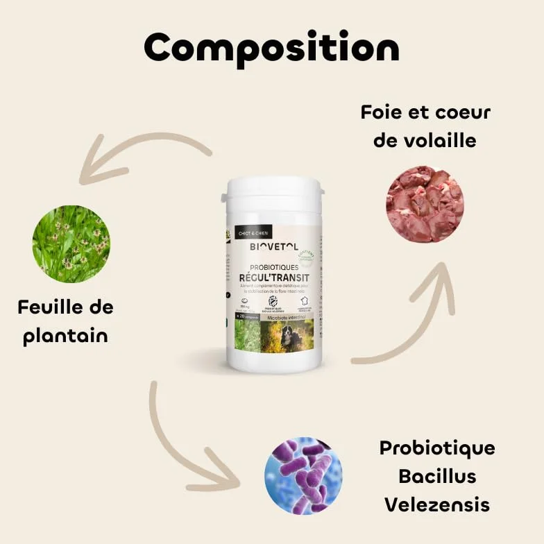 Biovetol Probiotique Comprimés Regul'Transit Complément Alimentaire Spécial Transit Chien Lot de 3