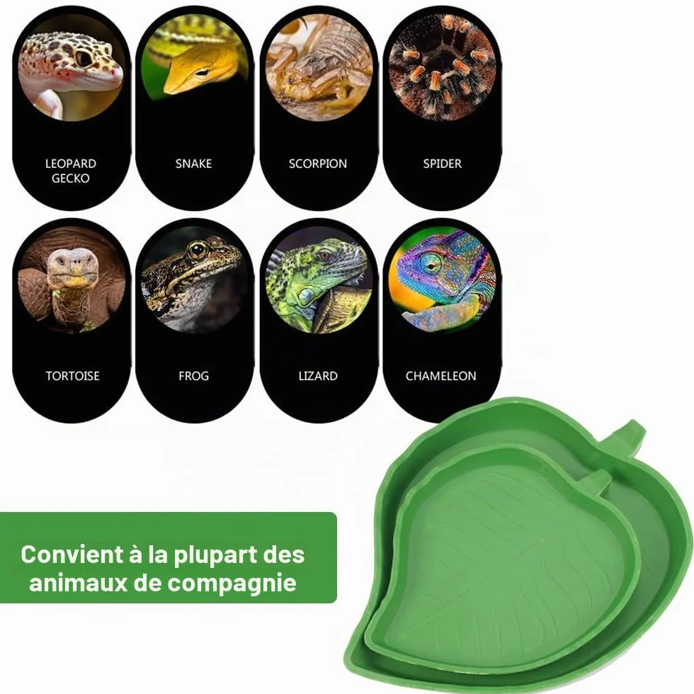 Bol d'Alimentation Reptiles Accessoires Tortues Bol à Boire Maison Bol d'Eau Lézards Hamsters