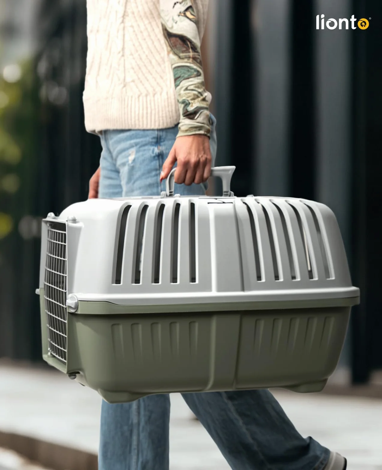 Caisse Transport Chien Plastique 58,5x35,5x40 cm Grille Métal poignée Fermeture Jusqu'à 15 kg Vert