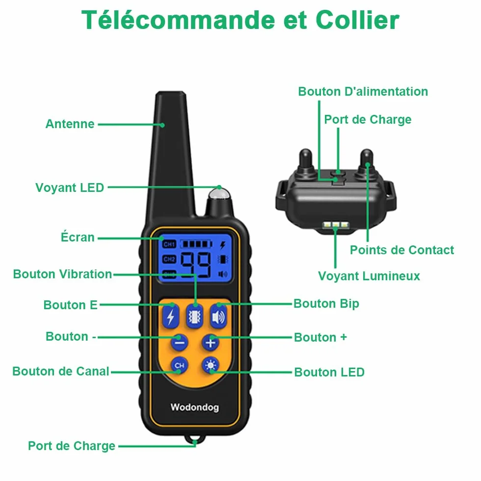 Collier de Dressage pour Chien Étanche Rechargeable 1000m, 2 Colliers