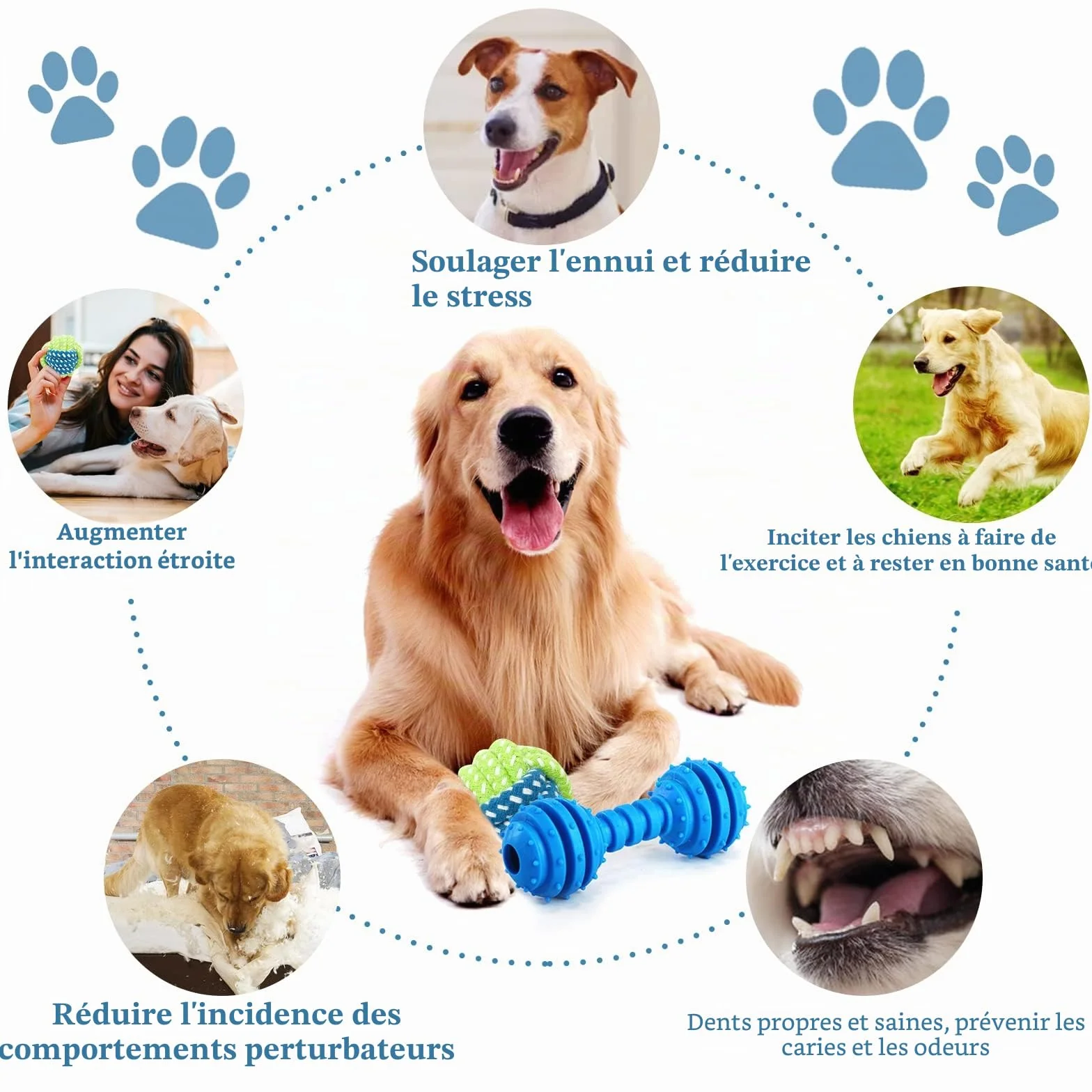 JOYBOY Jouets pour Chien 18 Pièces Corde à Mâcher Durable Indestructible