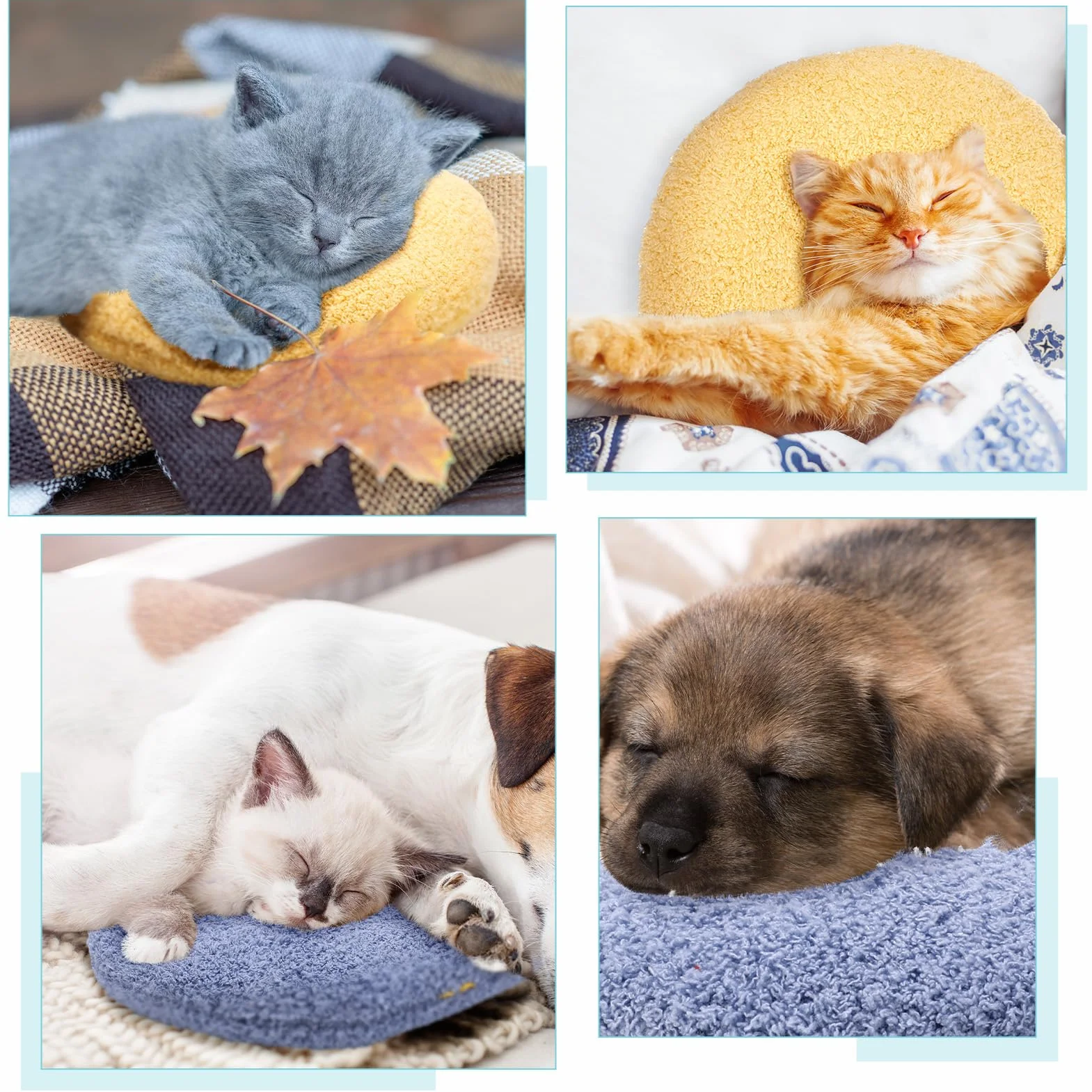 Apricitie Coussin en forme de U pour chien et chat Lot de 2 Jouet peluche animaux de compagnie