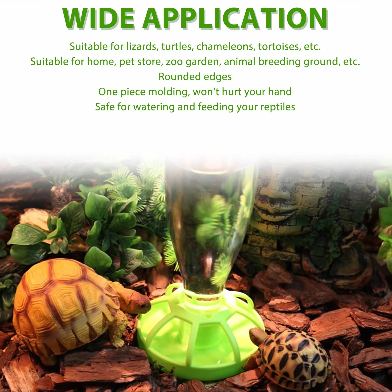 Distributeur d'eau de Reptile pour Tortue Lézard, Mangeoires Automatiques, Bol d'eau Grand