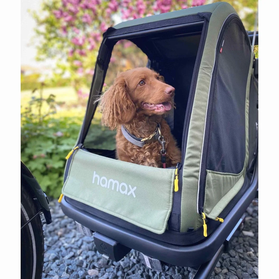 Hamax Remorque Chien Pluto Suspension 3 Positions Kit Poussette Inclus Charge Max 35 kg L 45 kg Sécurité Confort