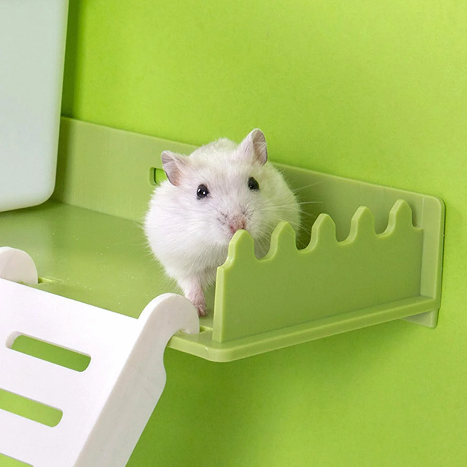 Plateforme de Jeu pour Hamster en Plastique avec échelle - Jouets Interactifs pour Petits Animaux