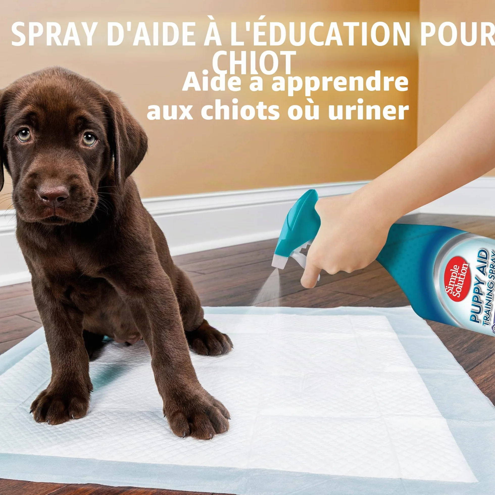Simple Solution Attrayant pour les Chiens qui Urinent 500ml