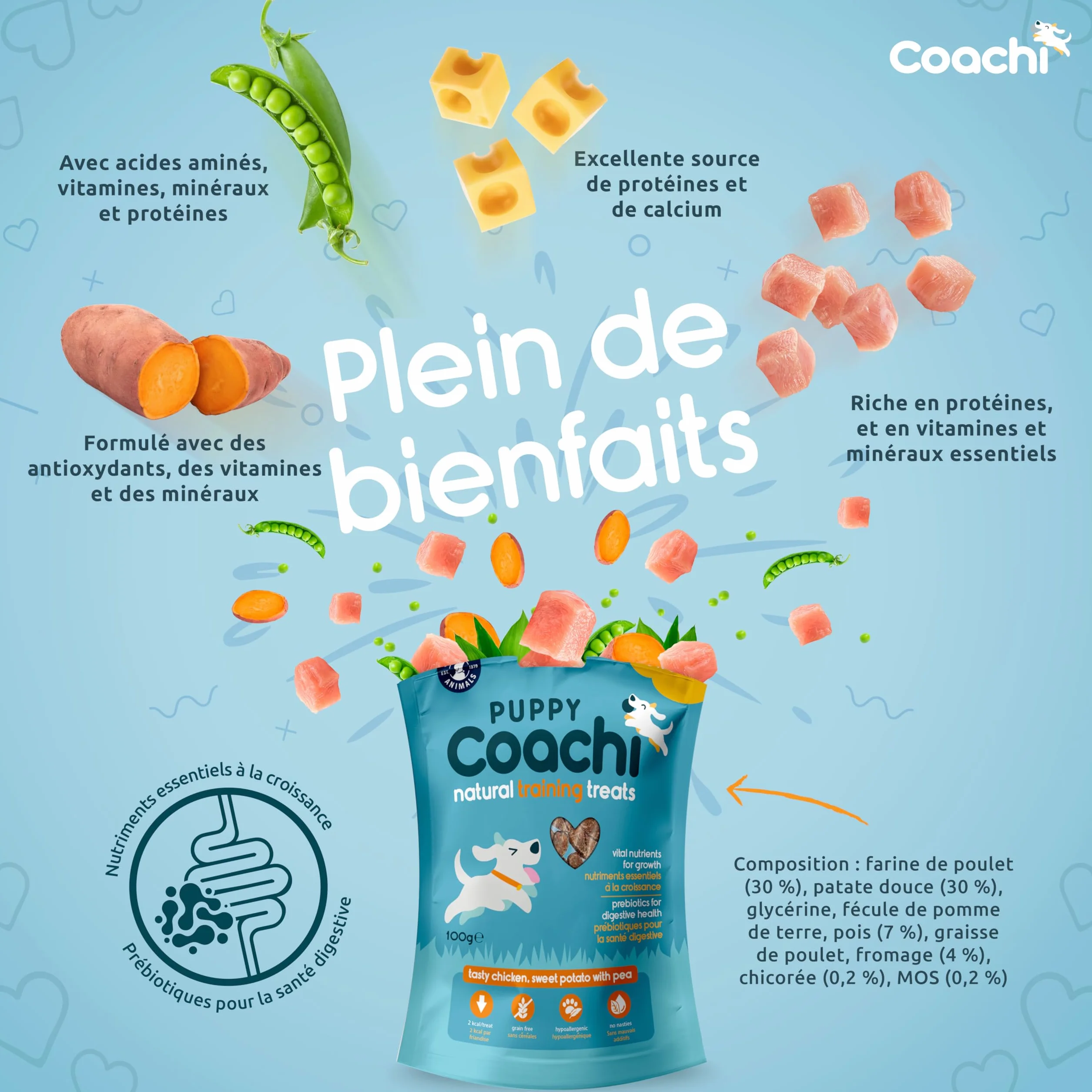 Coachi Friandises Naturelles pour Chiots sans Céréales Hypoallergéniques Moelleuses Poulet 100g