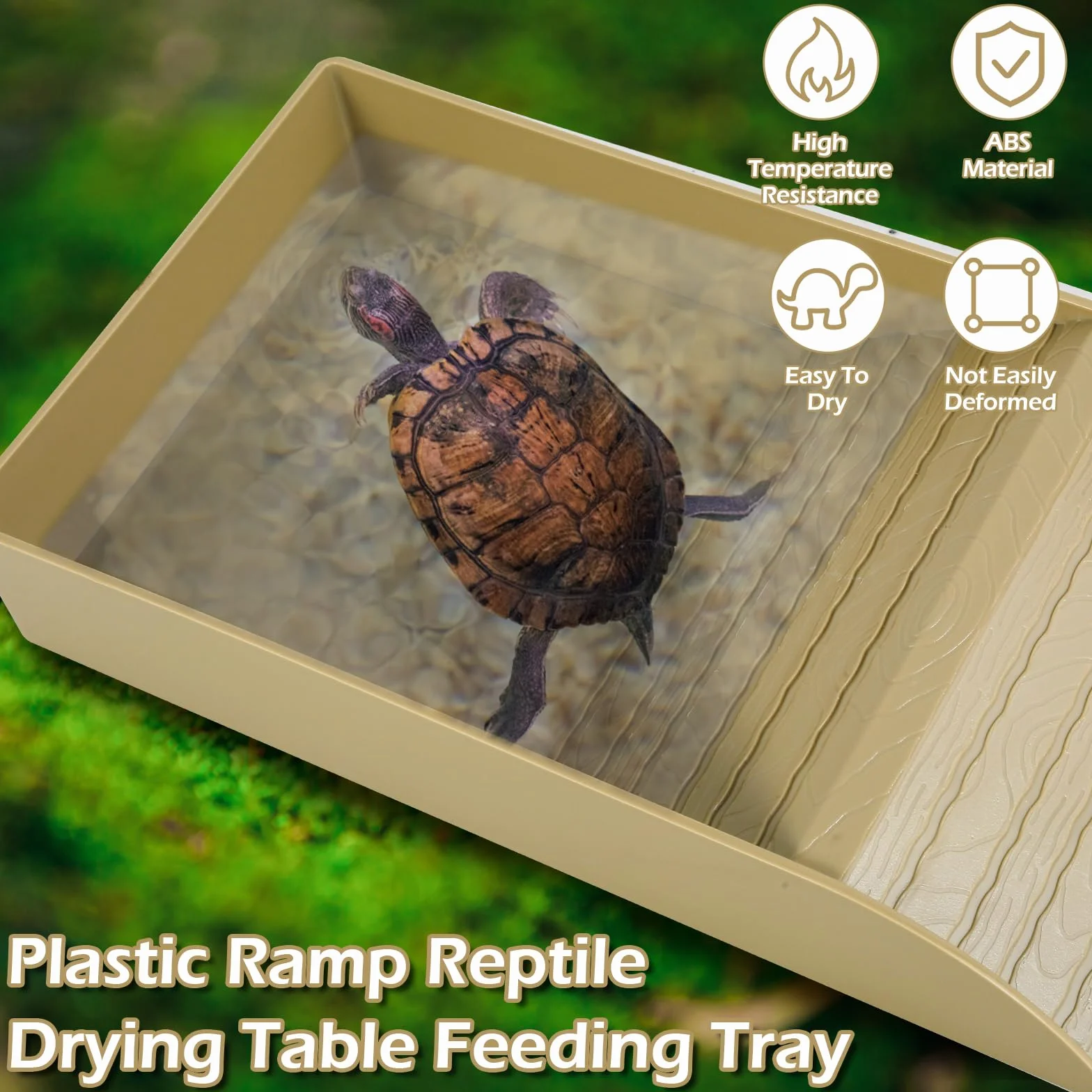Eummy Gamelle à eau pour tortue - Bol de bain antidérapant avec rampe - Plastique - Accessoires pour tortue