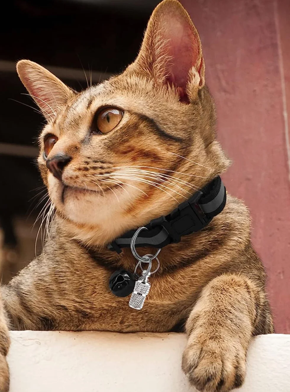 Collier Chat Réfléchissant 4 Pièces Réglable Anti Étranglement avec Clochette et Boucle de Sécurité