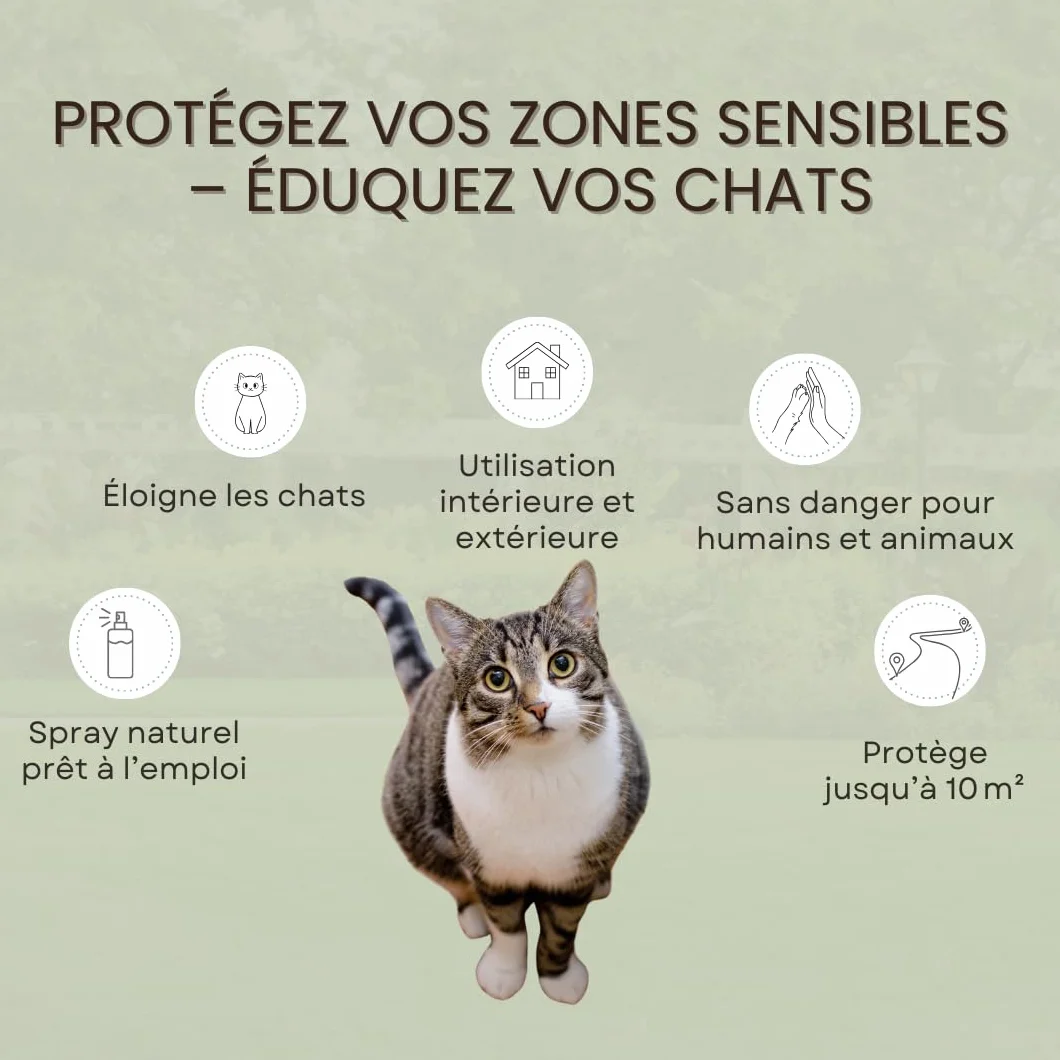 Répulsif Chats Intérieur Extérieur 500 ML Spray Naturel Huiles Essentielles Margosa Géraniol Protection 10 m²
