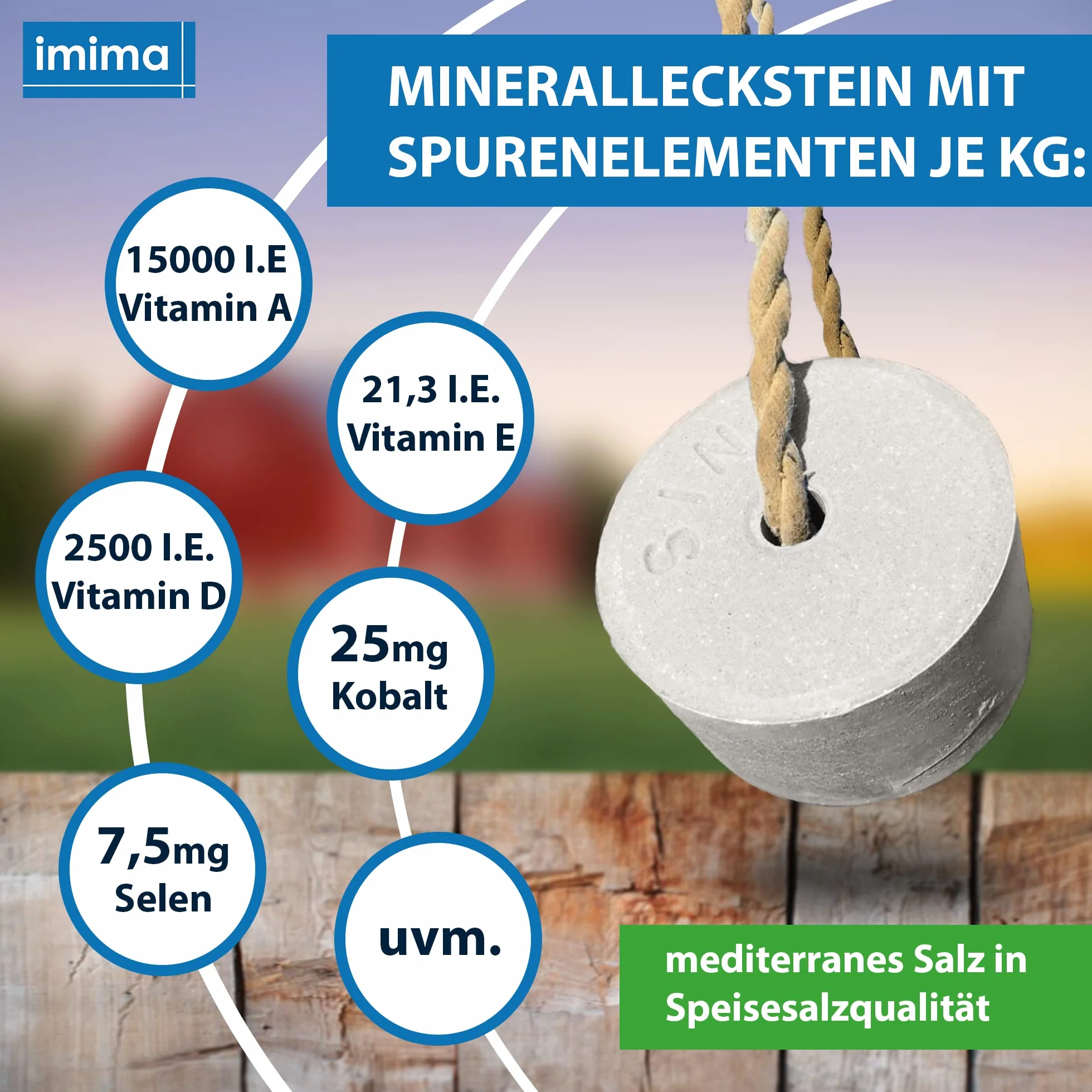 Pierre à Lécher Minérale Cheval MultiVitamin BRONCHIAL Set de 2 x 3kg