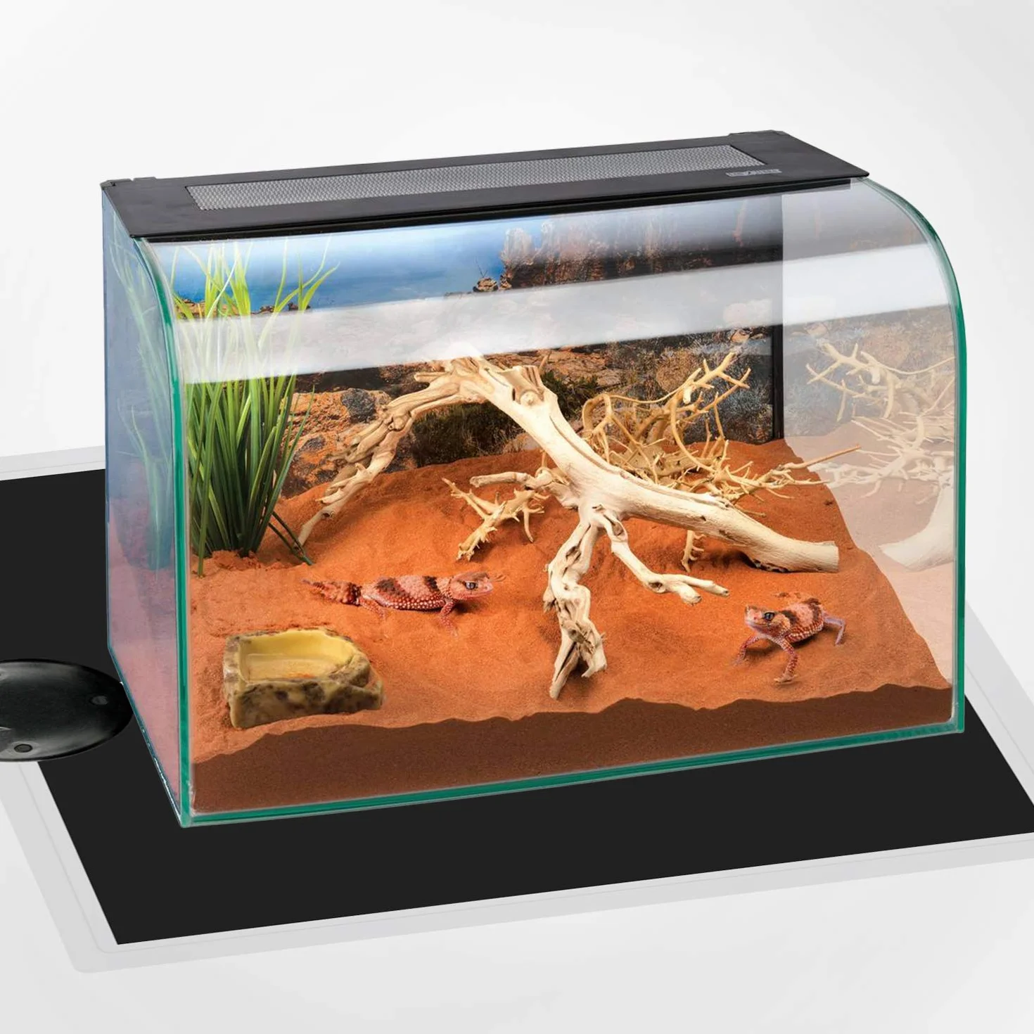 Tapis Chauffant pour Terrarium 2 pièces Imperméable avec Contrôleur de Température pour Reptiles Lézards Geckos Serpents Tortues Araignées 5W