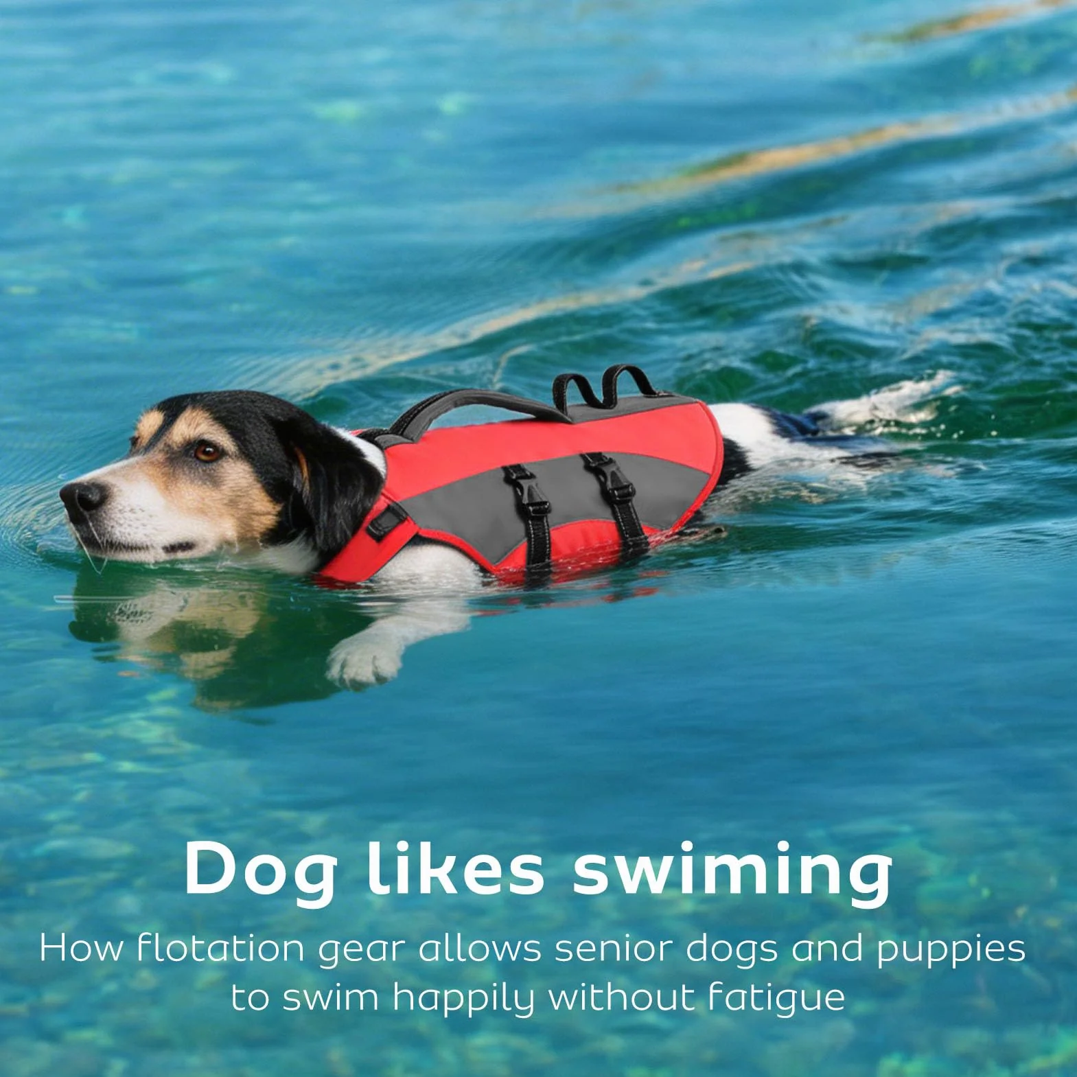 Gilet de Sauvetage pour Chien CITÉTOILE, Bouée Réglable avec Poignée Réfléchissante, Sports Nautiques, Rouge, M