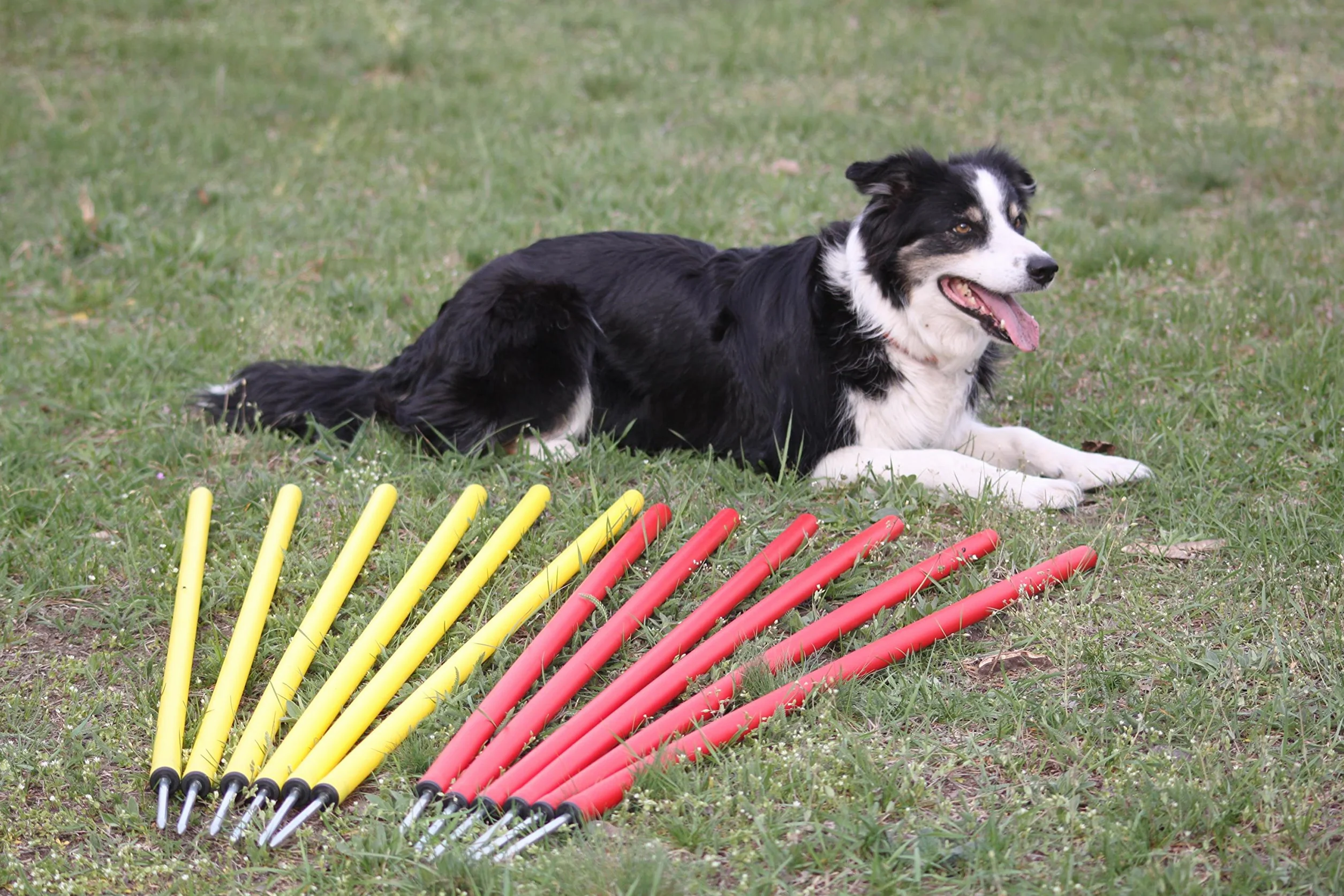 Kit piquets de slalom AGILITY SLALOM rouge/jaune ronds flexibles