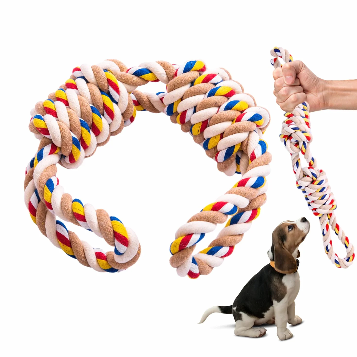 Corde de 40 cm pour Chien - Jouet Durable à Mâcher pour Petite et Moyenne Taille