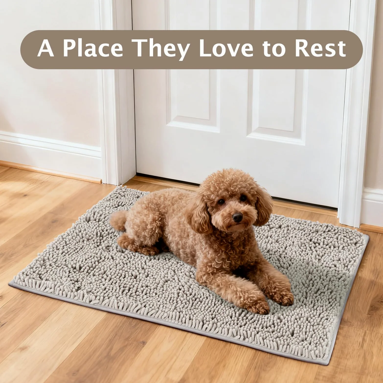 BVAGSS Tapis pour Chien à Entrée Anti-Boue,Super Absorbant Paillasson d'intérieur, Tapis d'Entrée Chenille à Séchage Rapide antidérapant, Lavable en Machine XH085 (Gris,60x90cm)