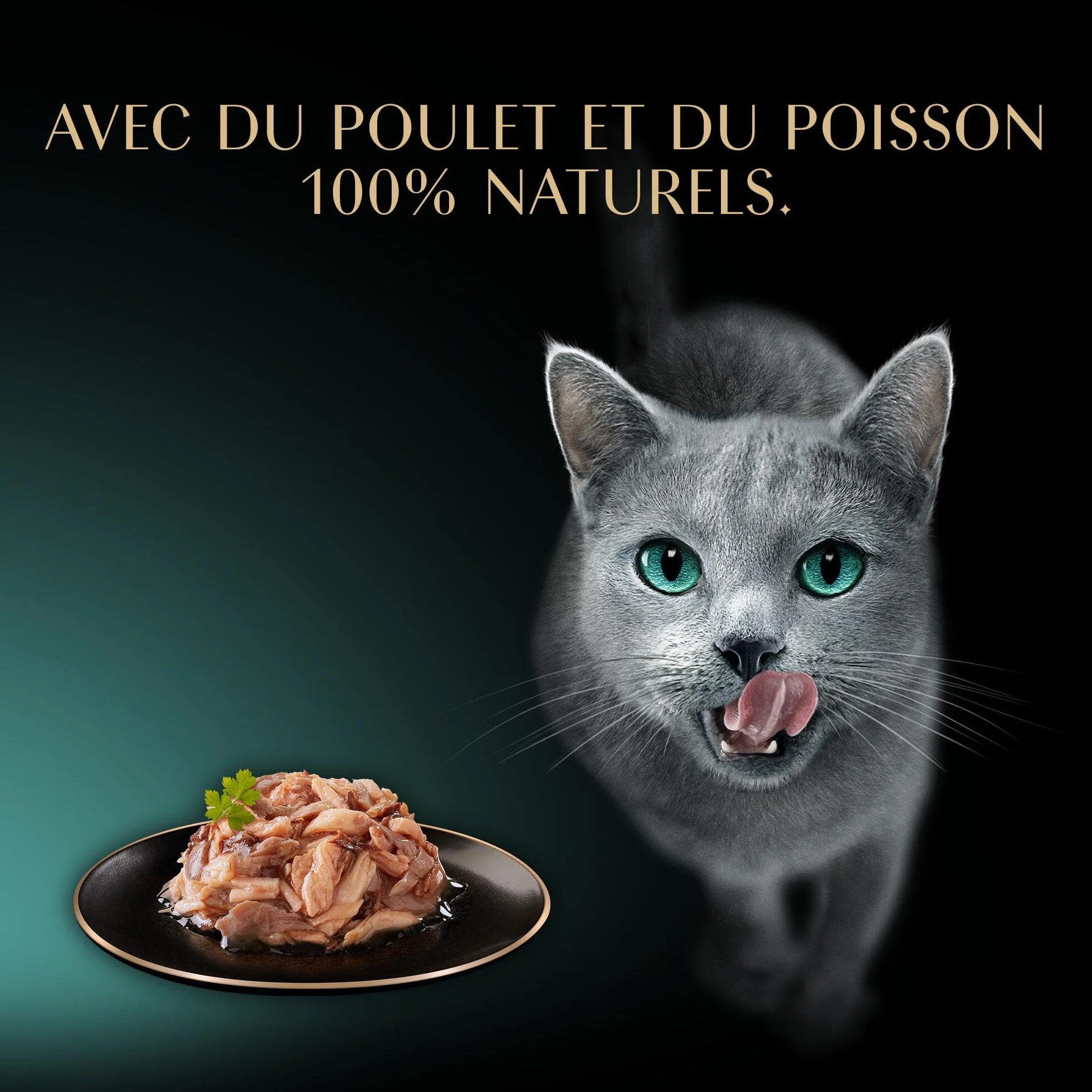 SHEBA Filets Nourriture pour Chat Adulte au Poulet et au Thon en Sauce, 32 x 60 g