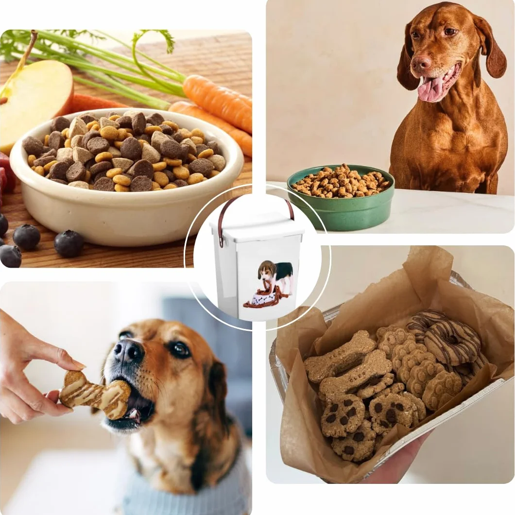 Boîte à Croquettes 5L Hermétique pour Chien et Chat – Stockage Optimal, Design Animalier