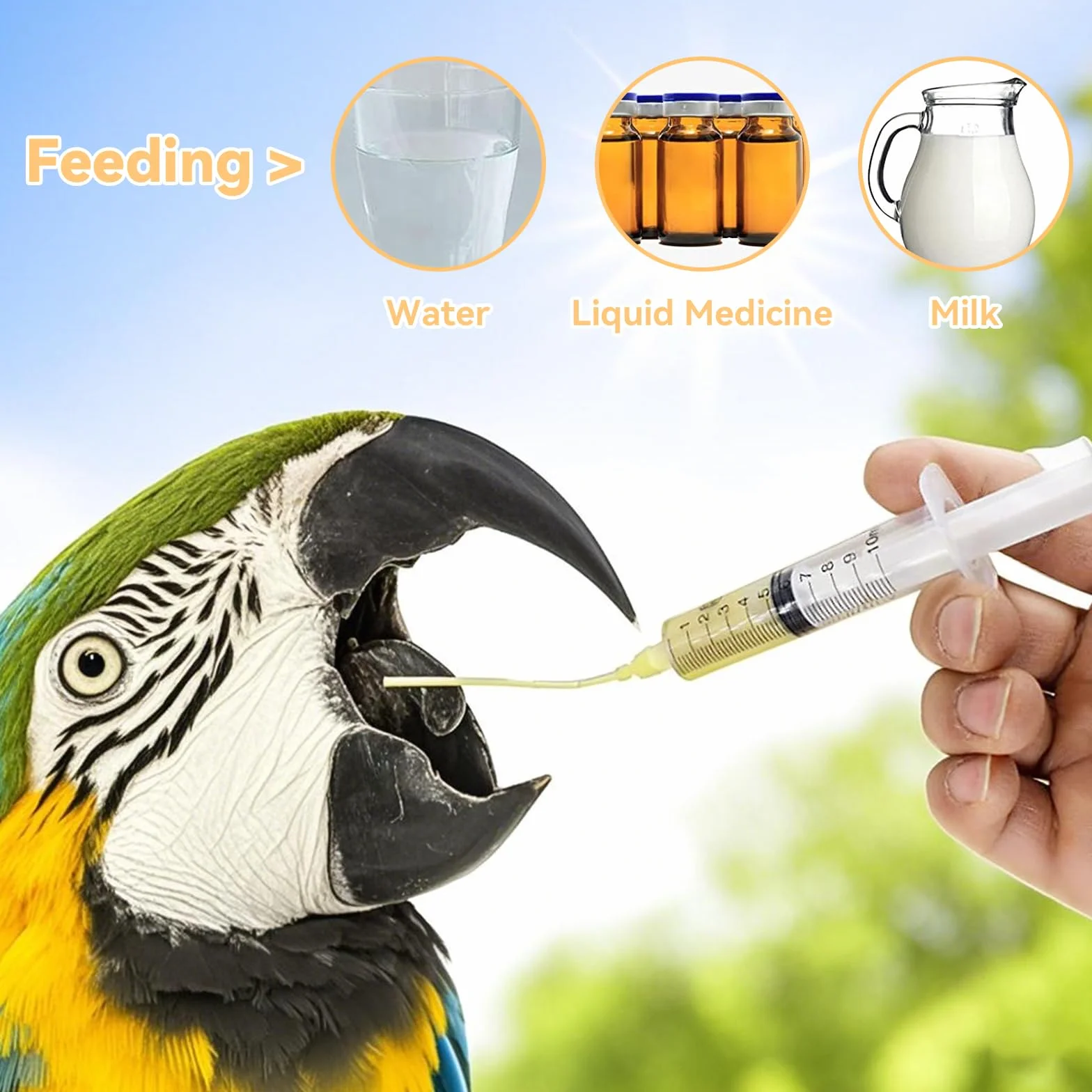 Sondes d'alimentation pour Oisillons avec 2 Seringues 10 ML pour Perroquets et Petits Animaux