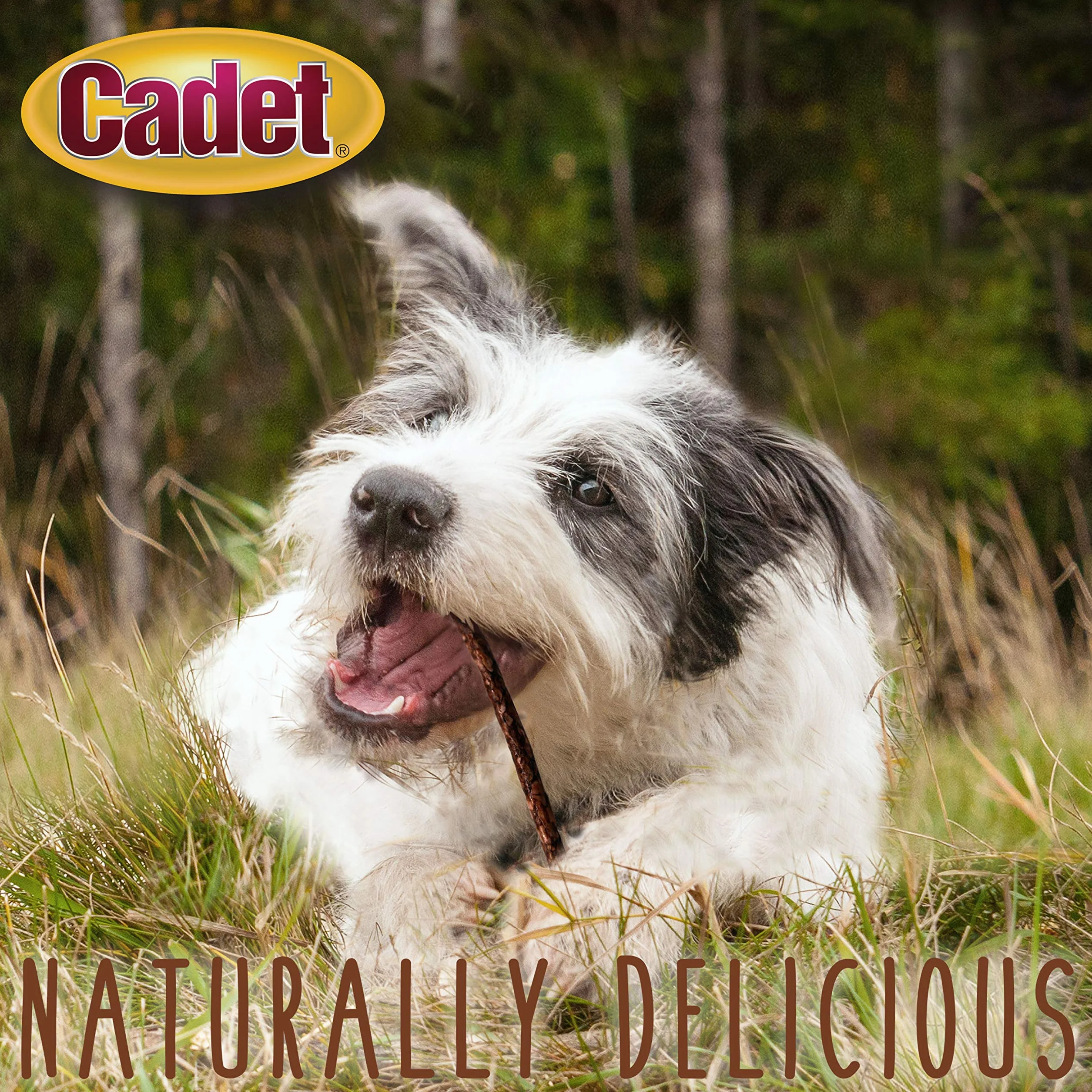 Cadet Gourmet Lot de 100 bâtonnets de boeuf en cuir brut pour chien 12,7 cm