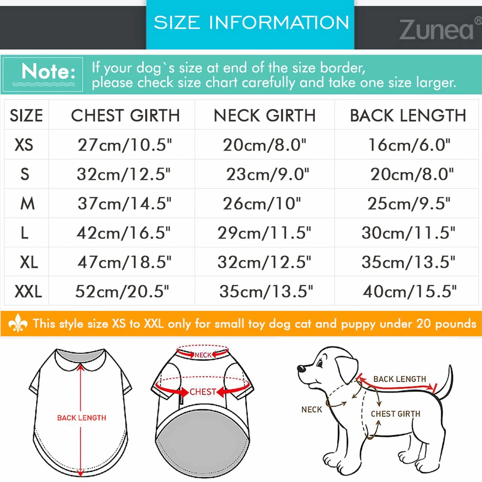 Robe d'hiver pour chiot Zunea, robe de princesse avec anneau en D, chaude pour chihuahua