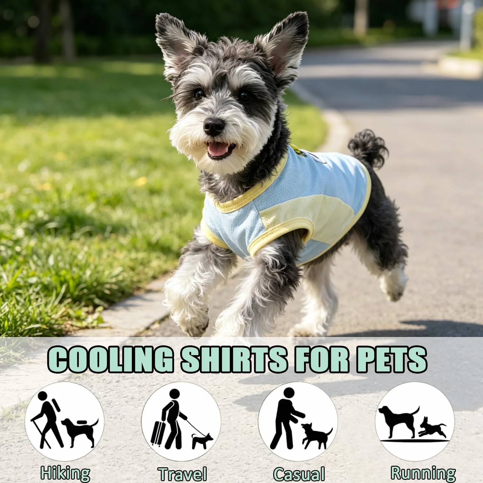 Lot de 2 gilets rafraîchissants pour chien en soie glacée respirante avec anneau en D, manteaux d'été frais pour chiens petite à moyenne taille (vert/bleu) (M)