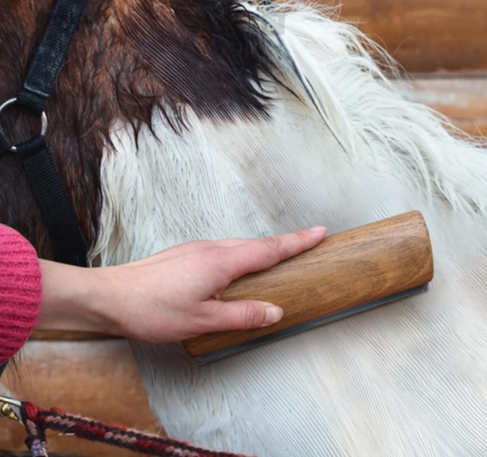 Brosse à excrétion de chevaux avec poignée en bois Brosse à poils de cheval Outil de toilettage pour chien chatte