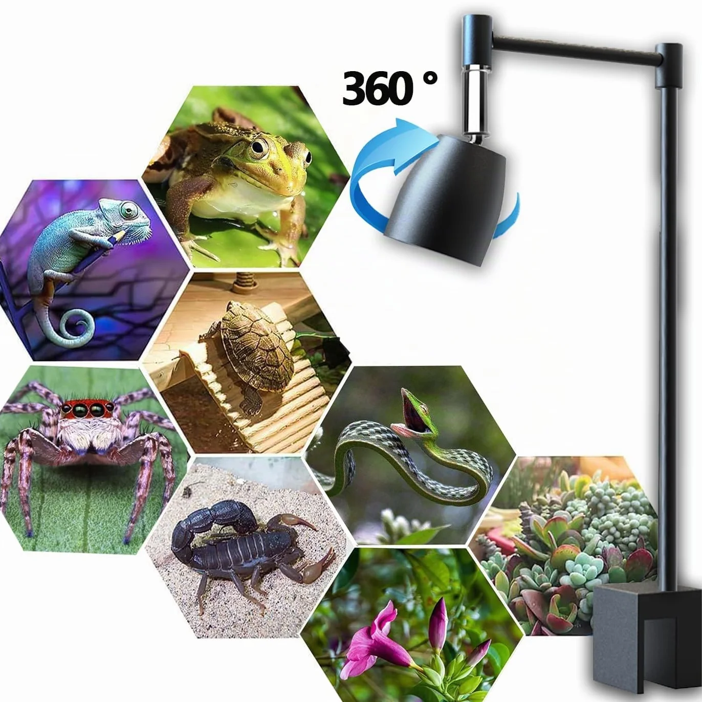 Lampe Chauffante Reptile Rotatif 360° en Métal - pour Lampe UVA/UVB - Accessoire Terrarium Serpent, Tortue, Lézard