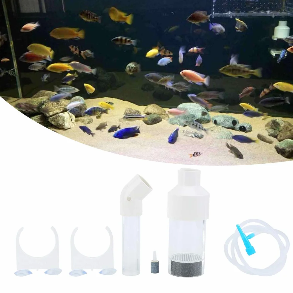Incubateur d'Oeufs de Cichlidés d'Aquarium AQ50025 Acrylique 25 Cm 50 Mm